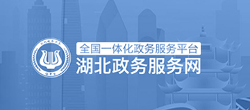 湖北政务服务网