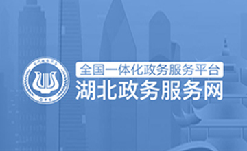 湖北政务服务网