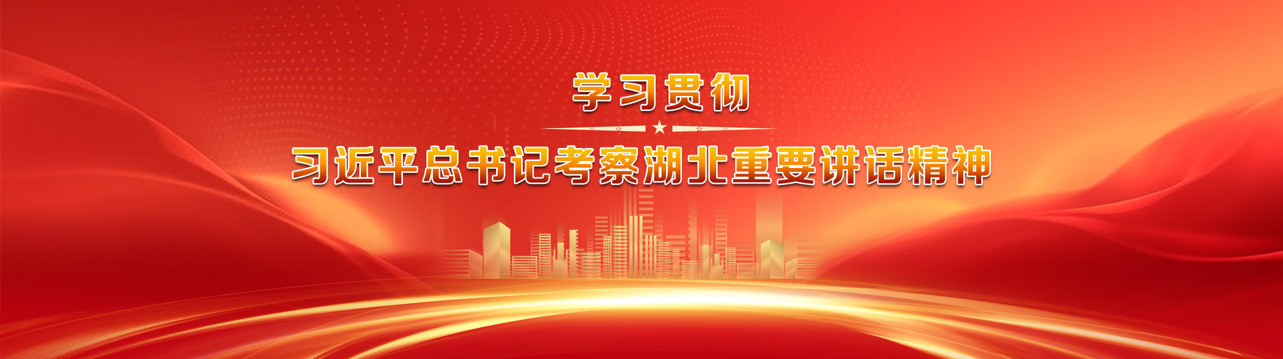 学习贯彻习近平总书记考察湖北重要讲话精神