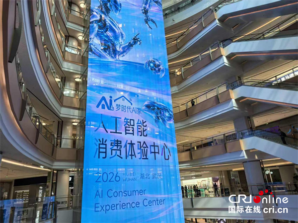 未来家长啥样?全国首个“AI家·人工智能消费体验中心”落地湖北