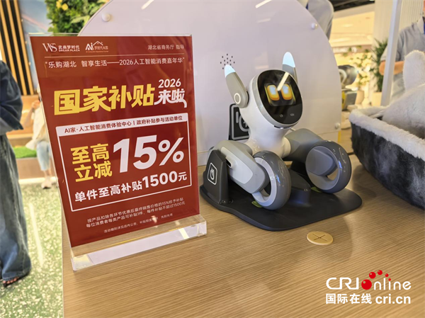 未来家长啥样?全国首个“AI家·人工智能消费体验中心”落地湖北